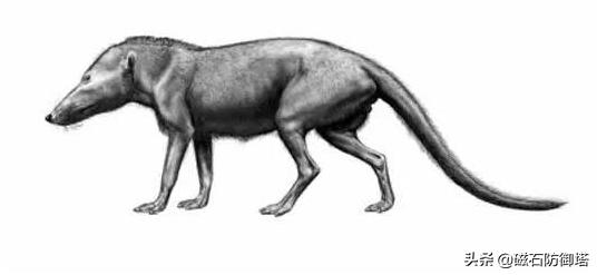 汗血宝马暴躁视频,汗血宝马的暴脾气