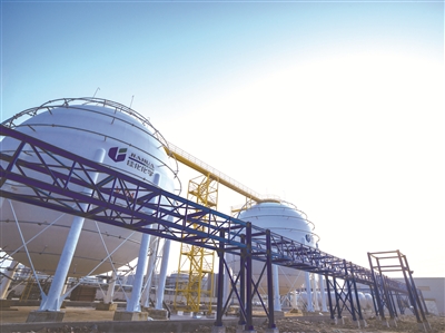 佳化化学500强,佳化化学集团简介