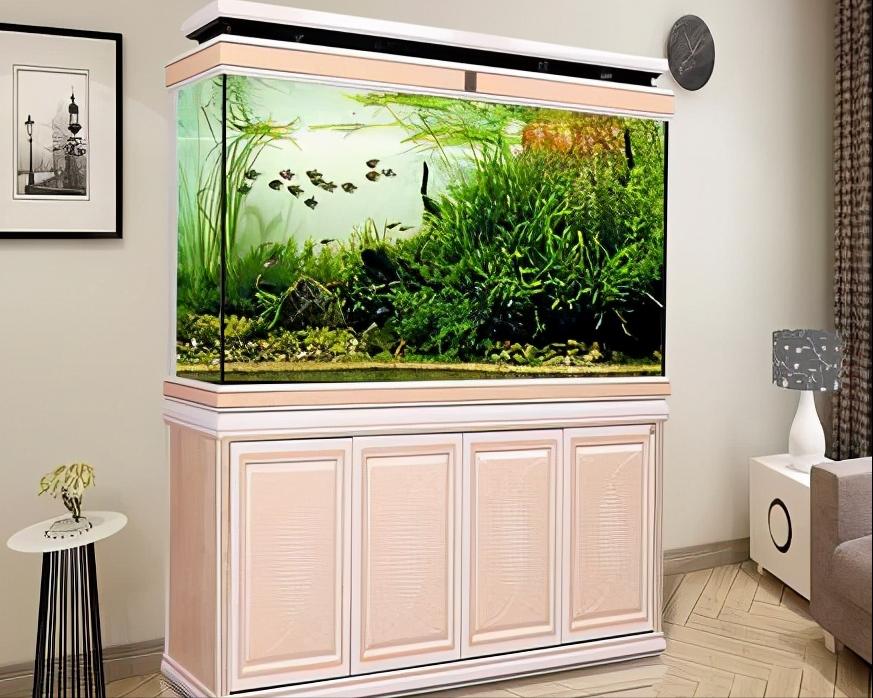 玻璃鱼缸怎么选择,鱼缸底柜用什么材质的好