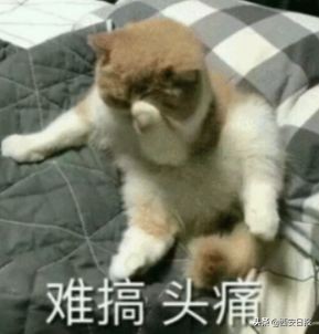 西安各大单位招聘,西安有哪些国企招大专生