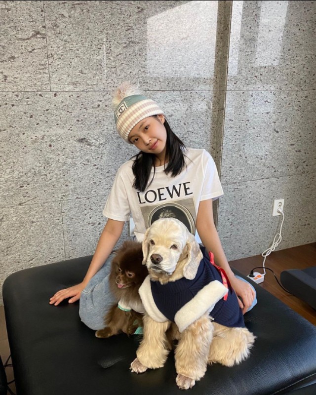 jennie和狗狗的日常,jennie有多宠狗狗