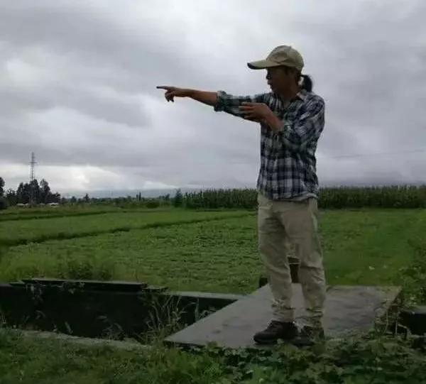 让农业回归原生态,呼唤传统农业回归