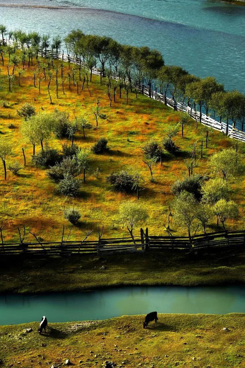 终于攒够了年假,年假怎么攒