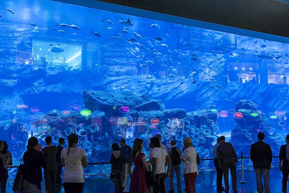 7月1日免签入境的游客,入境中国旅游免签最新规定