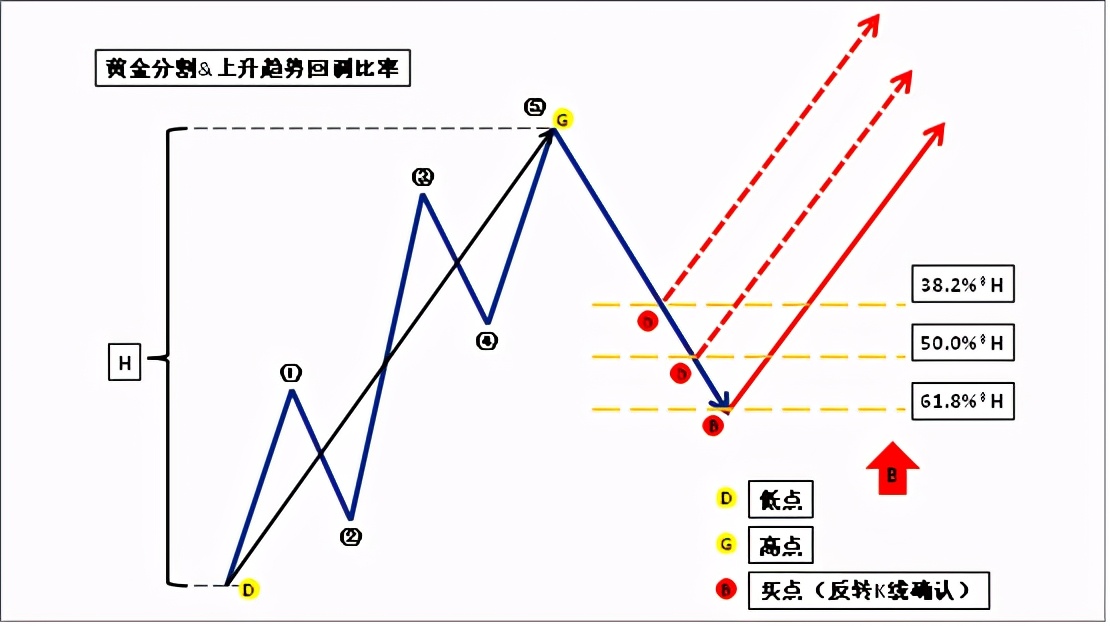 黄金分割线,黄金分割线的实战操作技巧