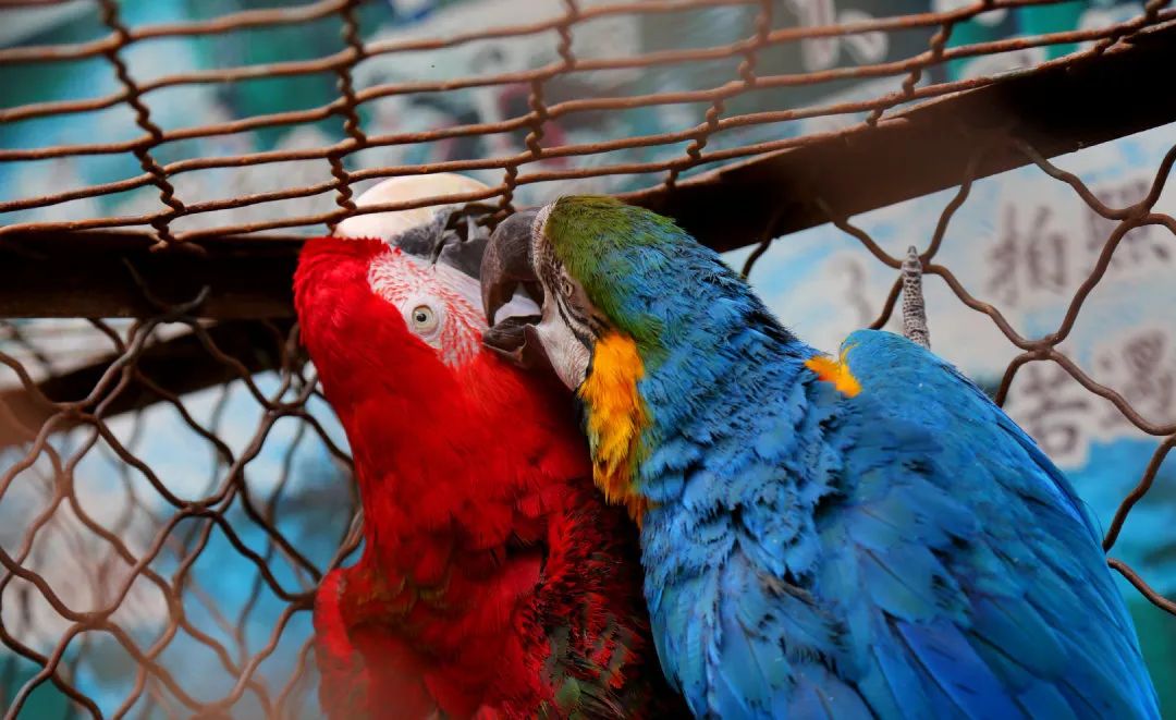 济南适合带娃去的公园,济南适合遛娃的景区