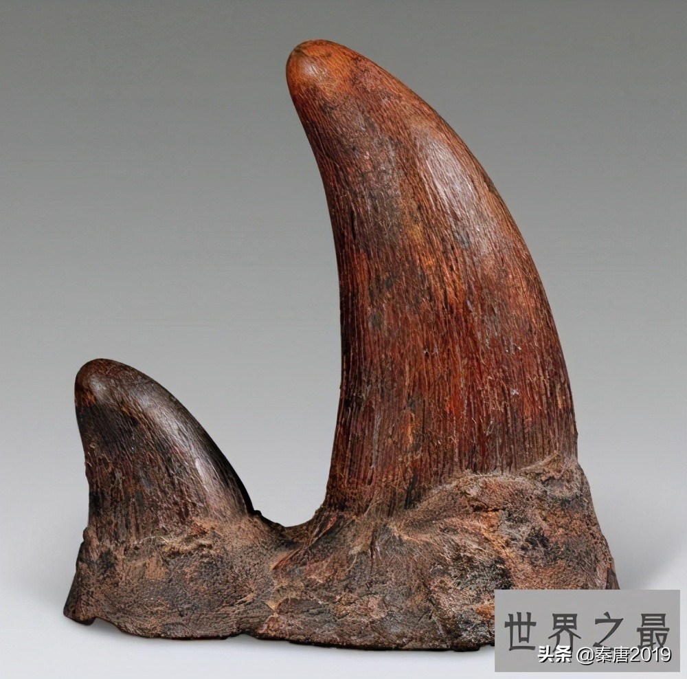 最贵的十大自然元素,十大最昂贵物质