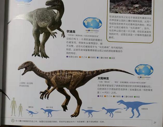 跪了！科普界天花板！恐龙迷们不要犹豫