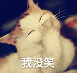 人生的第一块劳力士一劳永逸,劳力士为什么叫一劳永逸