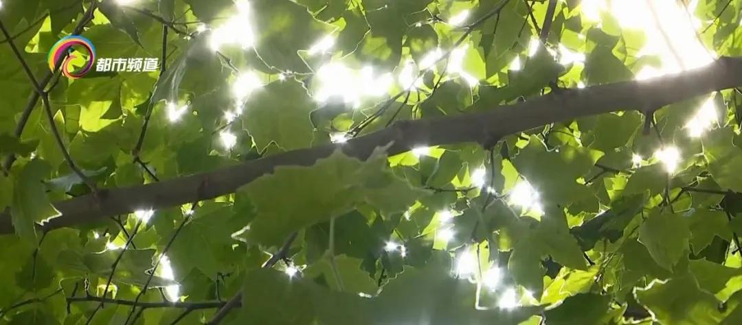 饭菜吃不完,吃不完的饭菜怎么放冰箱