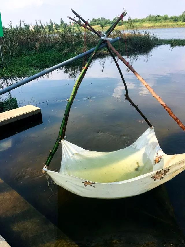 黄陂滠水钓鱼,黄陂前川滠水
