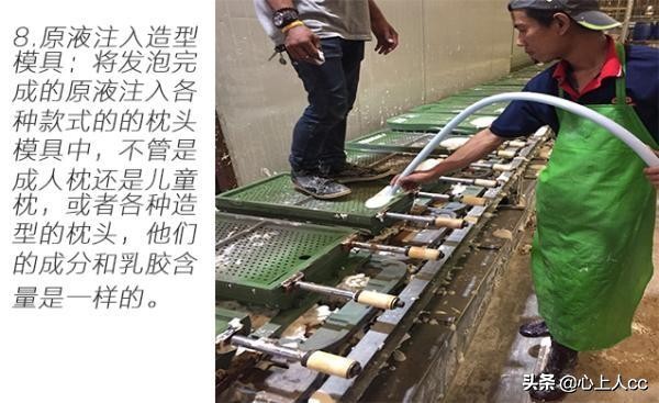 真乳胶枕和假乳胶怎么辨别,怎么区分天然乳胶枕和海绵枕头