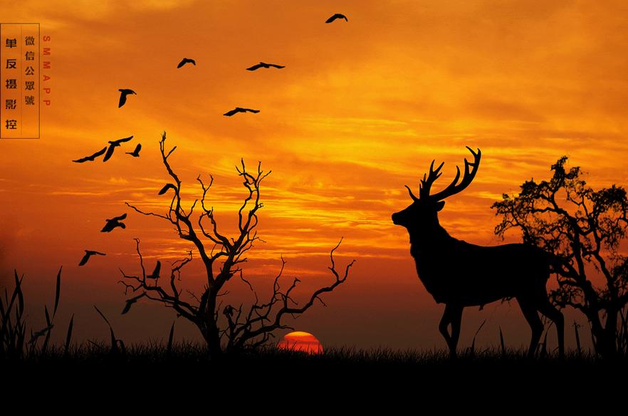 夕阳怎么拍摄有意境,夕阳美景拍摄动作技巧有哪些