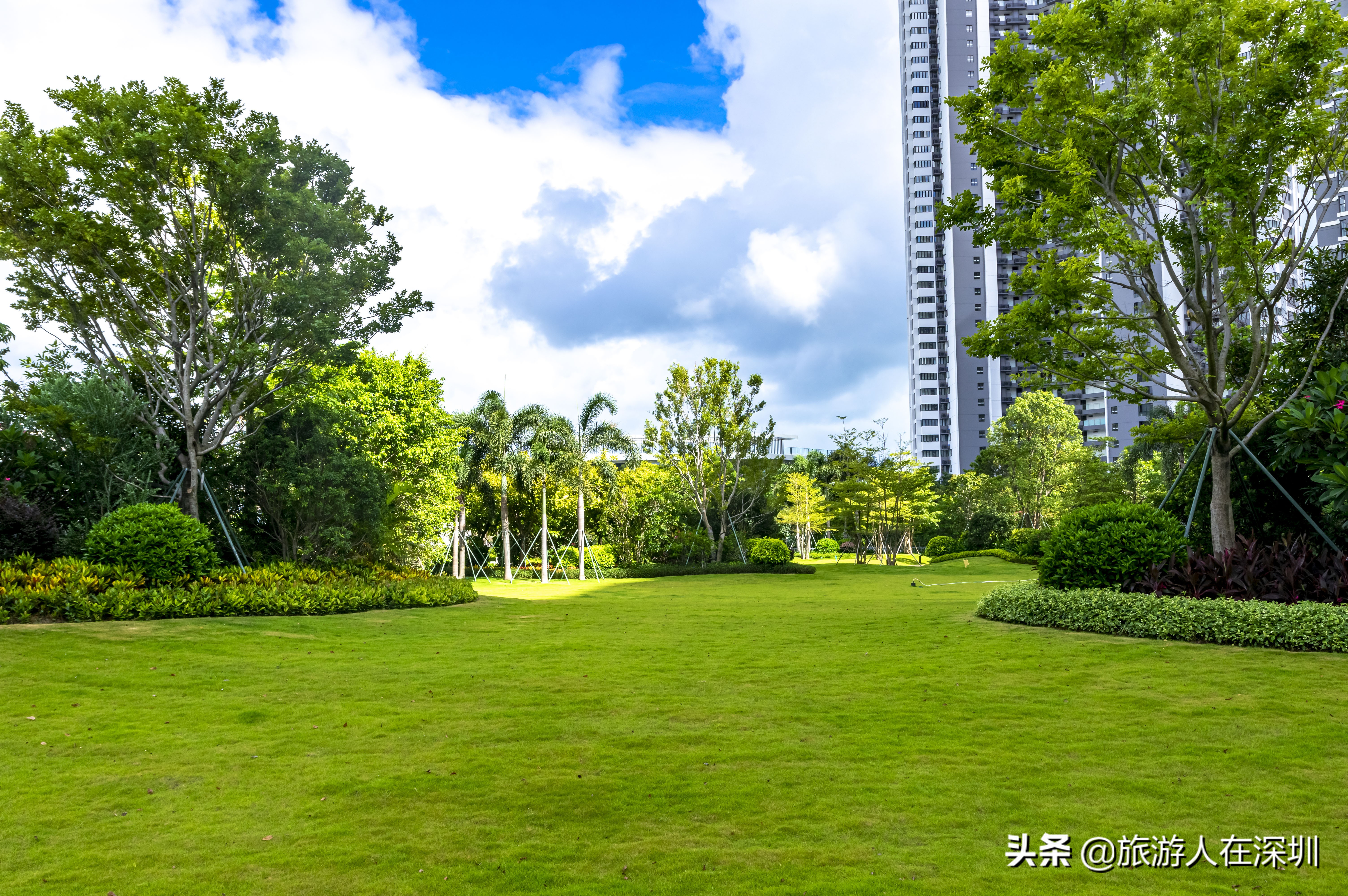 惠州巽寮湾酒店民宿推荐4房,巽寮湾海景酒店公寓