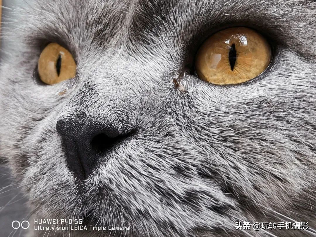 华为p40现在拍照怎么样,华为p40拍照不清晰怎么办