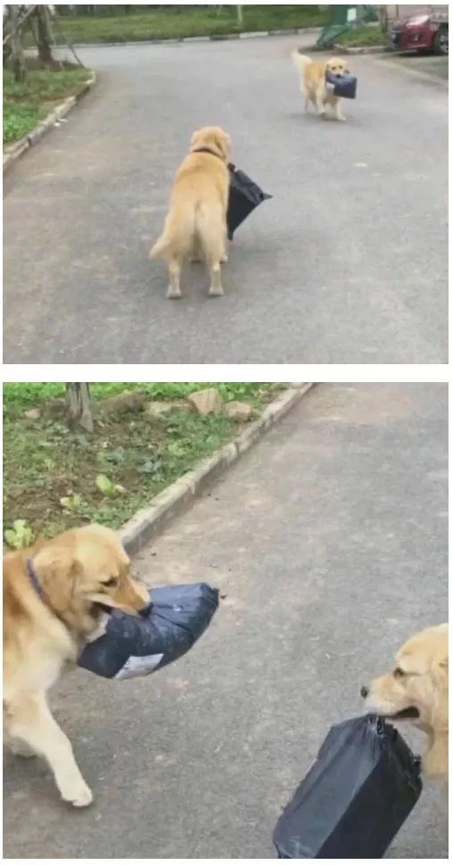 鱿鱼墨鱼乌贼八爪鱼章鱼的区别,墨鱼与鱿鱼章鱼八爪鱼有什么区别