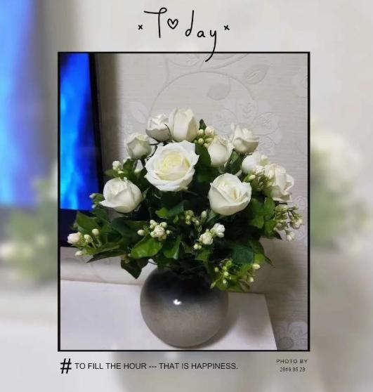 十二星座双子座的守护花,双子座守护花是什么星座