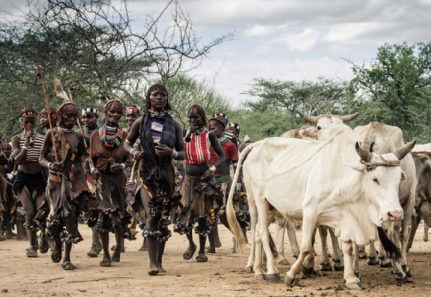 非洲高危职业:一天2次,每天60元,3年时间足够使人又聋又瞎
