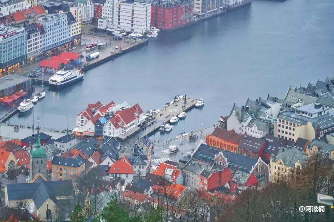 为了吃最贵的鱼你们会驱车多远,世界上最难吃的鱼青花鱼