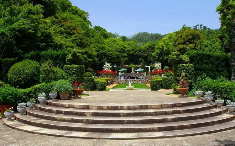 美景欣赏完整版,美景欣赏花朵