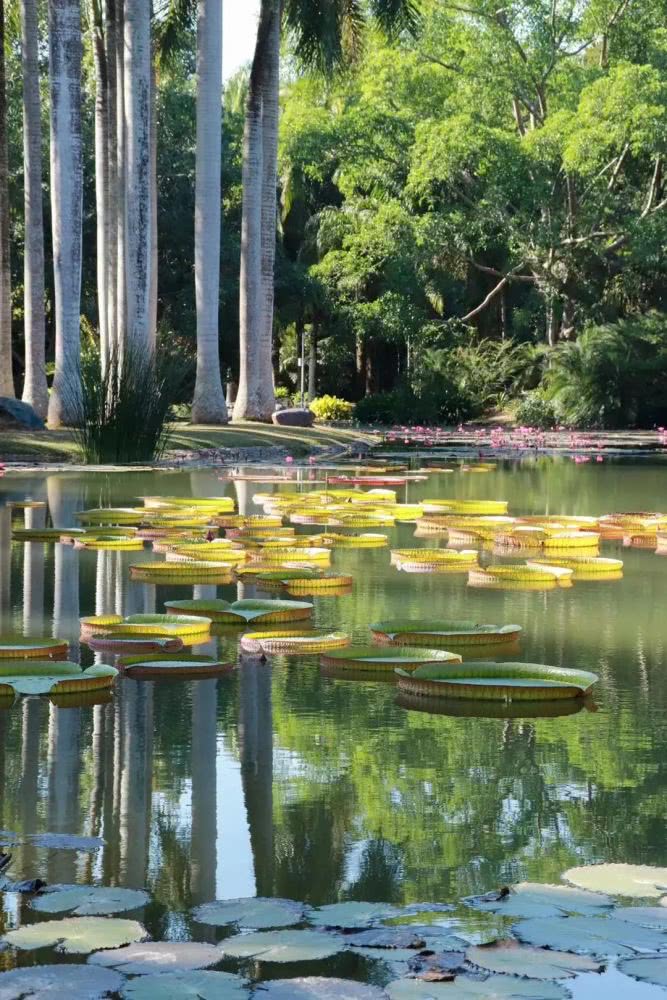 云南西双版纳幸福感,云南最有潜力的城市西双版纳