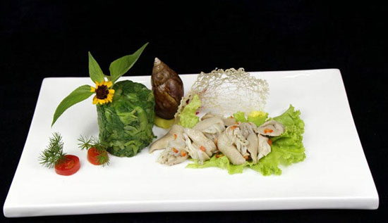 小壳维生素,小壳软磷脂