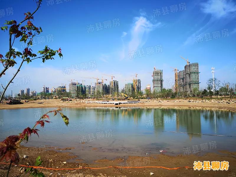 沛县千岛湖规划图,沛县安国镇湖湿地建设新项目