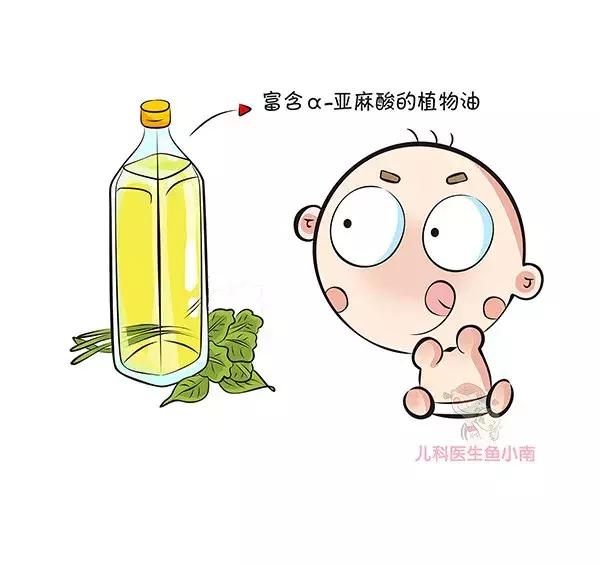 dha贯穿宝宝一生的营养素,dha营养脑神经吗