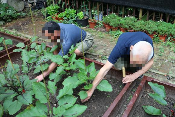 一线社工工作日常,社工探访重度失能残疾人