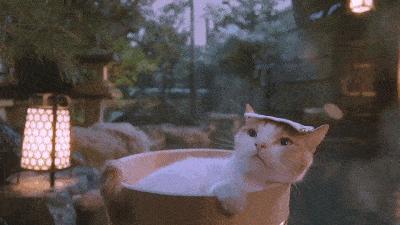 藏于山水间的山野度假酒店,天目湖温泉度假酒店推荐