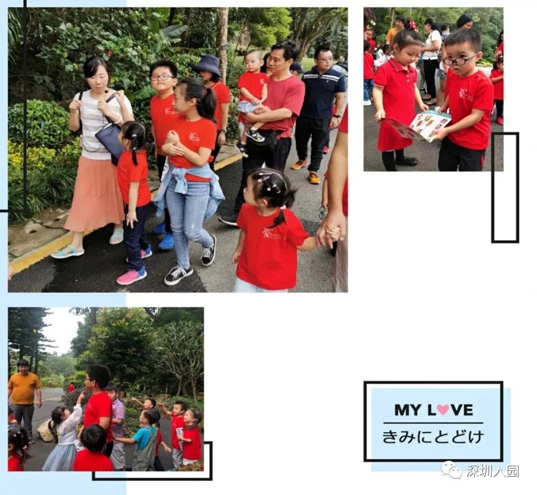 深圳十大最好的幼儿园,有钱你也上不了的深圳四所学校