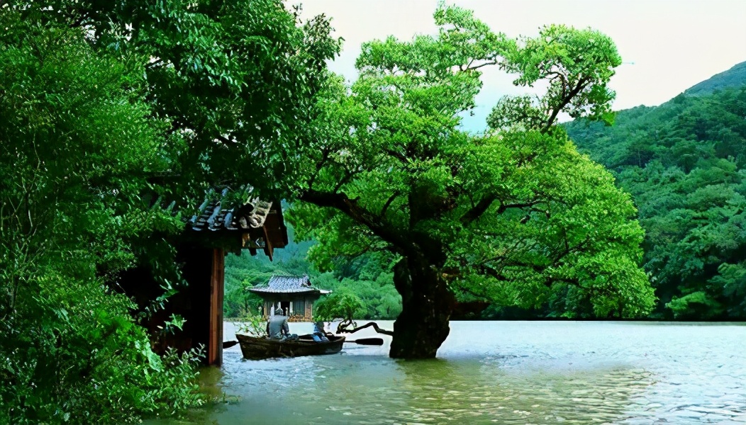 人生的四季是春天,春夏秋冬又一春对四季的理解