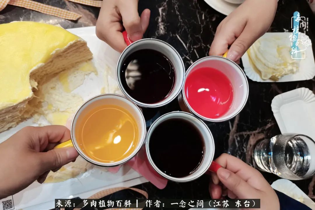 遇见花开蓝莓糖,遇见花开蔬菜沙拉酱