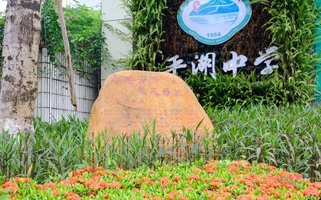 平湖低调小区,平湖品位