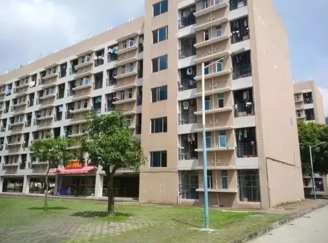 广东工程职业技术学院招生简章,高职高考必看广东文理职业学院