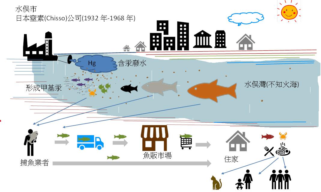65年前在日本爆发的怪病,1952年日本猫自杀事件