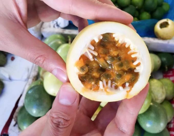 云南西双版纳旅游特色水果,云南西双版纳水果花