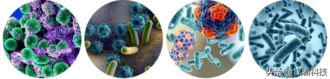 3倍洁净,3倍清洁效果