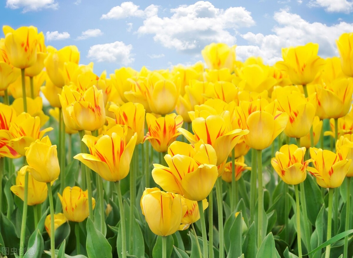 走出对视恐惧,我是如何走出阴霾的