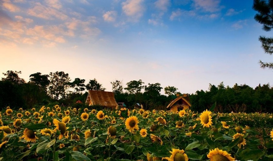 无锡蠡园逛多久,无锡蠡园攻略