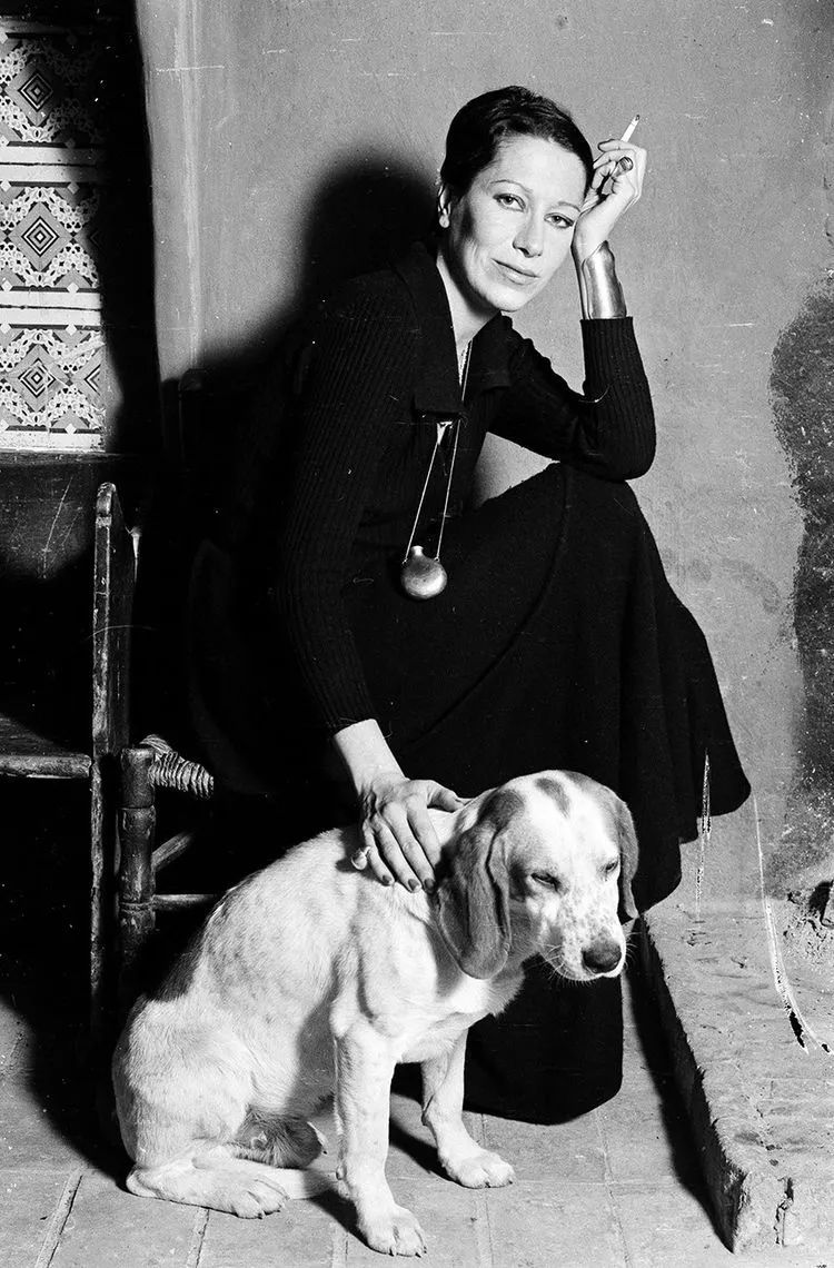 致命女人为什么只更新了一集,致命女人更新了吗