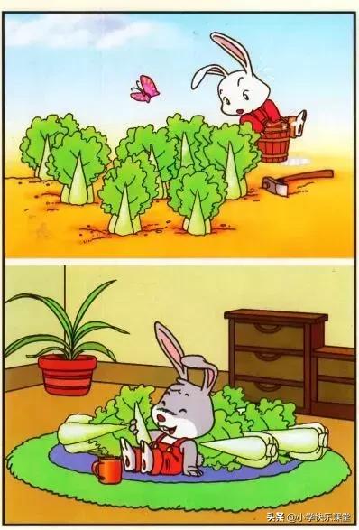 看图写话小白兔遇到什么困难,小白兔看图写话的故事怎么写