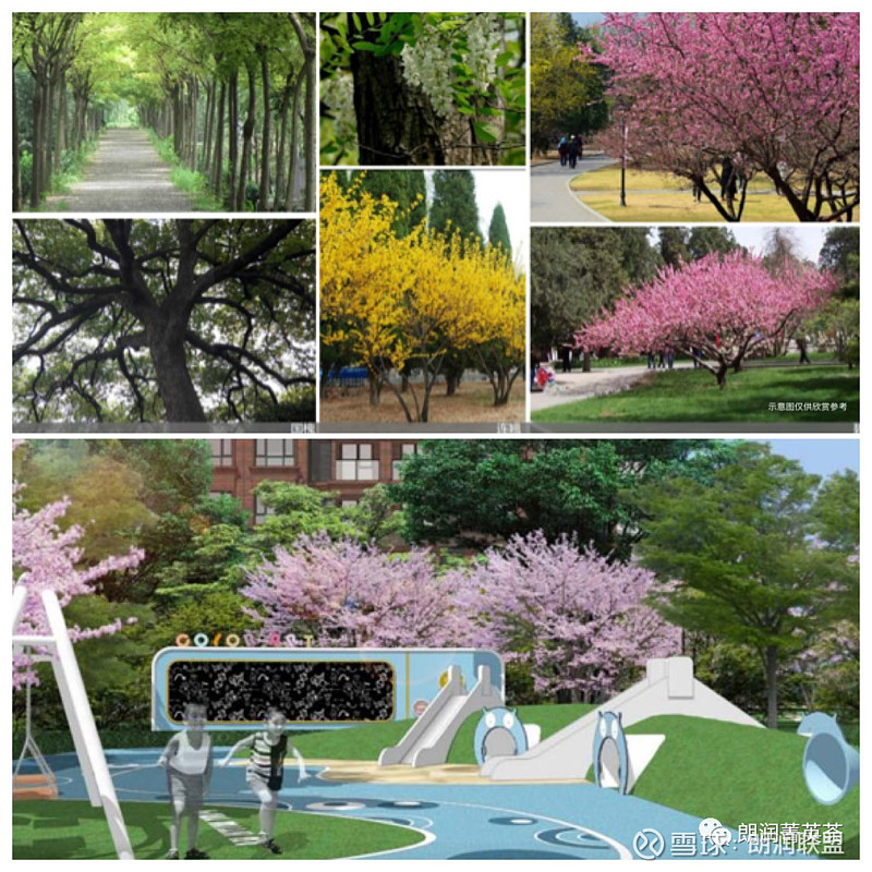 朗润园简介,龙湖朗润园园林