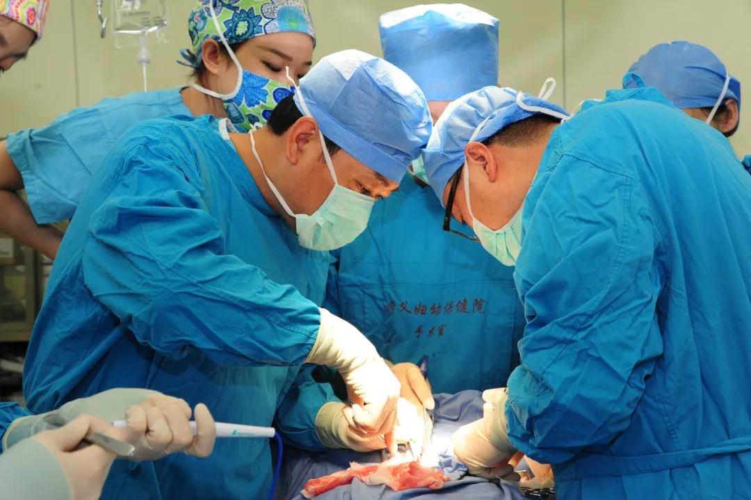 托管医院的优势和弊端,医院托管后的变化