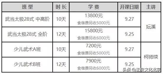 速来围观扫黑除恶漫画,武当太极二十八势陈师行