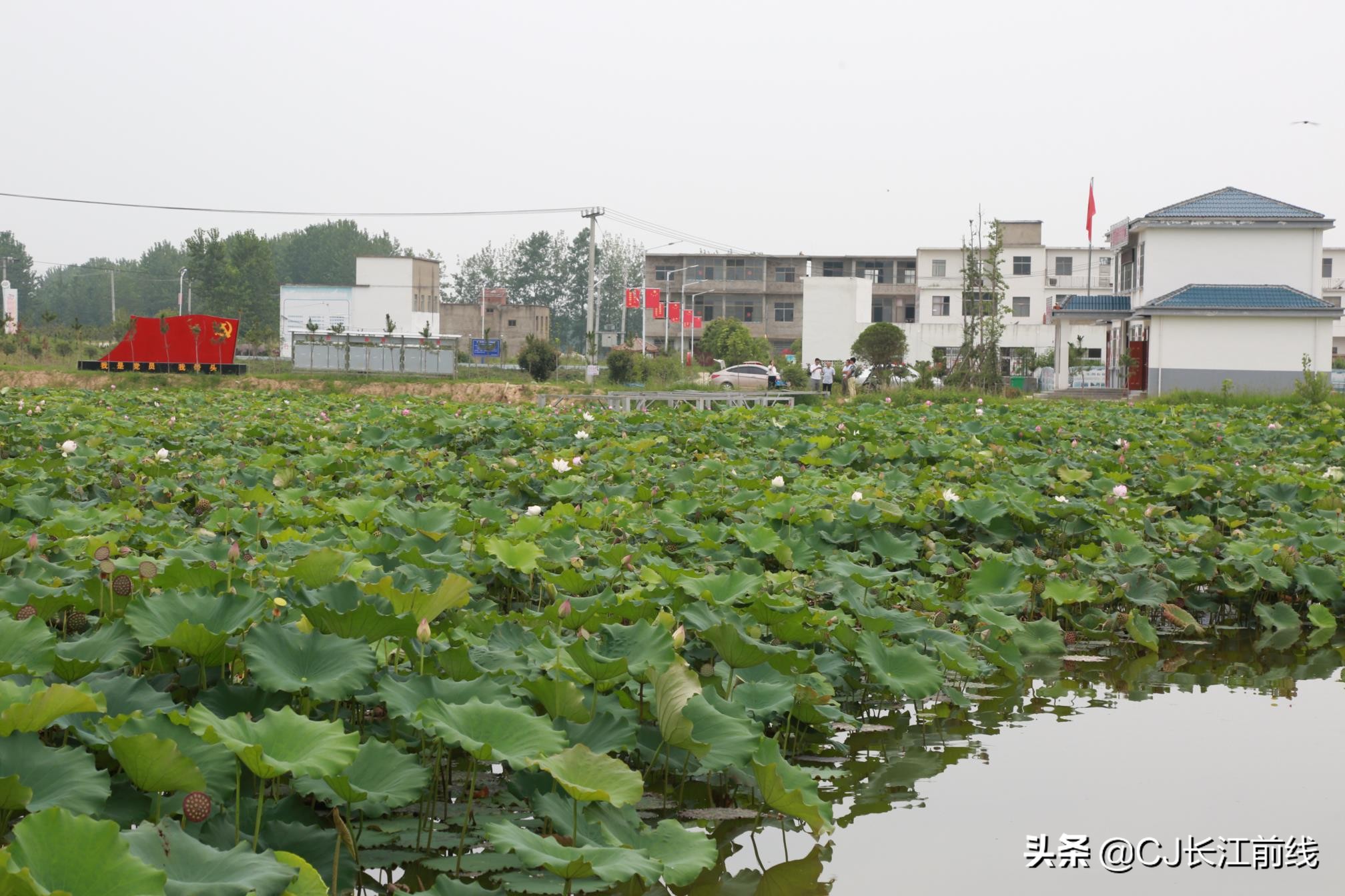 淮滨谷堆杨湾最新消息,淮滨谷堆杨湾风景