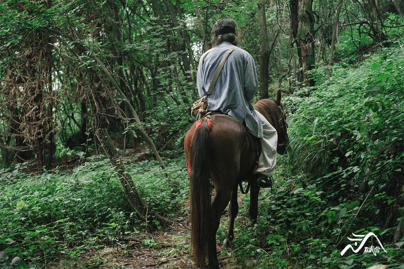 武当来信|老胡:采药酿酒,自在逍遥