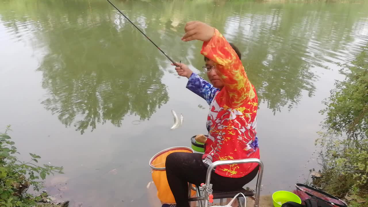 钓麦穗鱼的另类钓法,钓鲫鱼怎么规避麦穗鱼