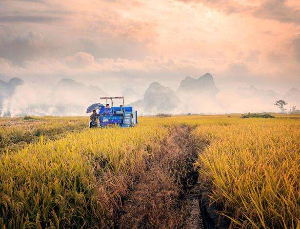 「处暑」向长夏言别，与浅秋相拥