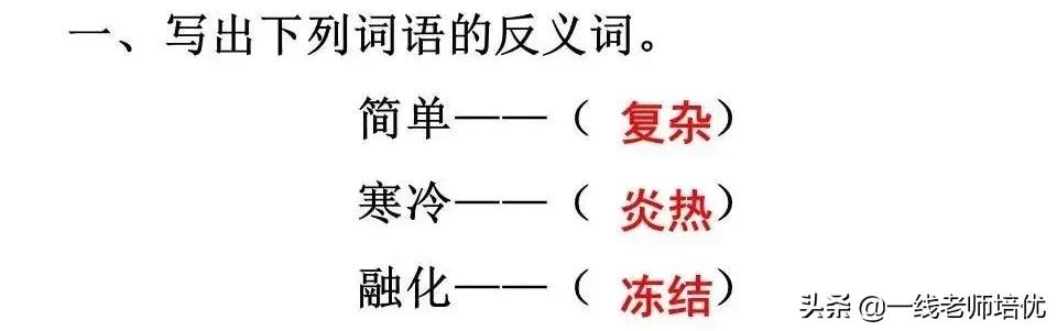 知识点+练习题▎部编版三年级语文上册8去年的树
